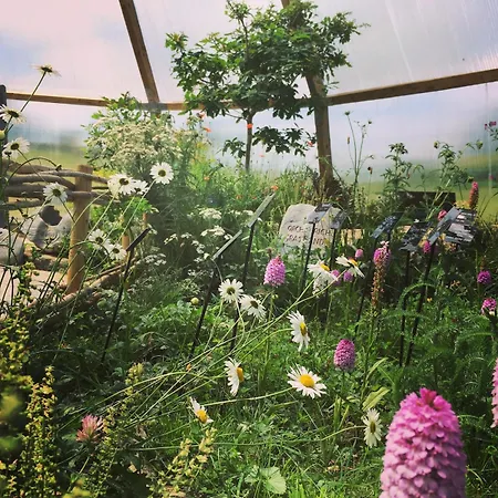 Burren Nature Sanctuary Apartamento