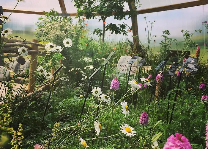 Burren Nature Sanctuary Apartamento