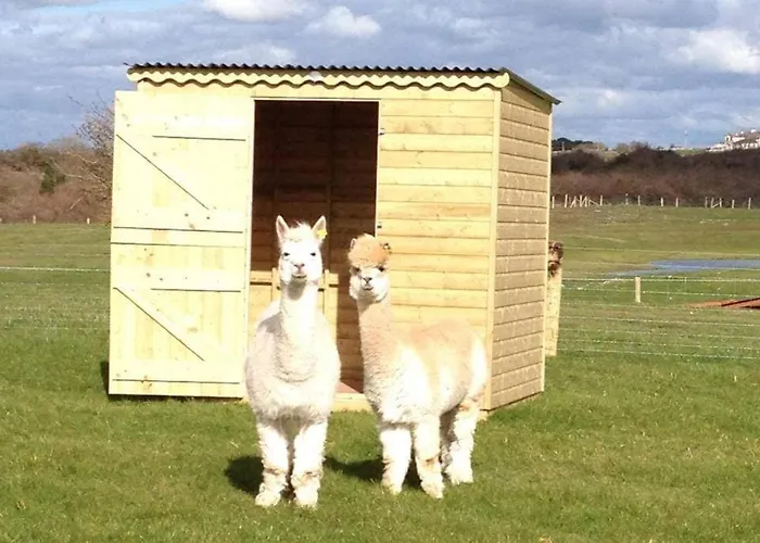 Burren Nature Sanctuary *
