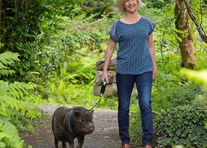 Apartamento Burren Nature Sanctuary Galway