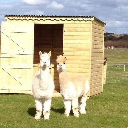 Burren Nature Sanctuary *
