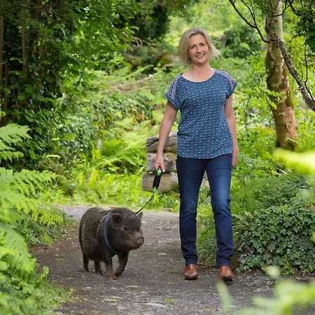 شقة Burren Nature Sanctuary غالواي