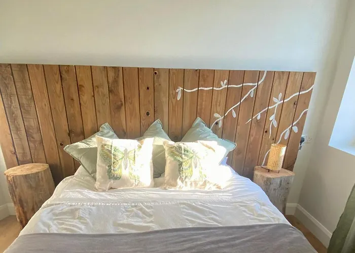 Burren Nature Sanctuary 戈尔韦