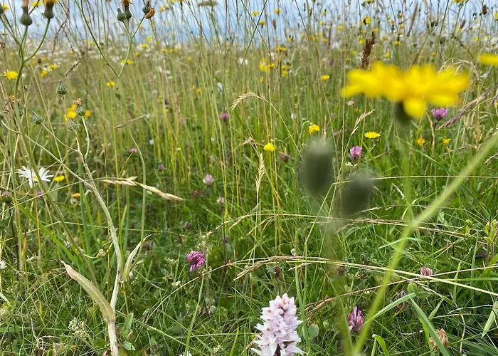 Burren Nature Sanctuary Apartment Galway